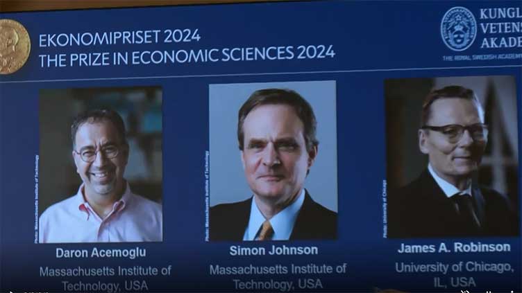 Nobel economics prize goes to inequality researchers Acemoglu, Johnson and Robinson