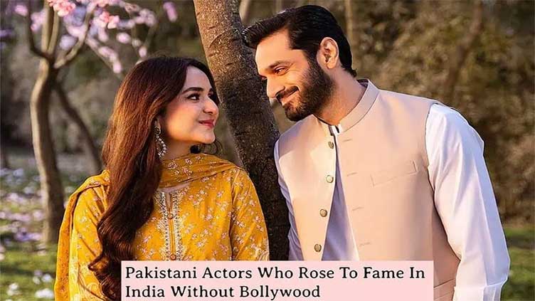 Pakistani stars who gained popularity in India without Bollywood