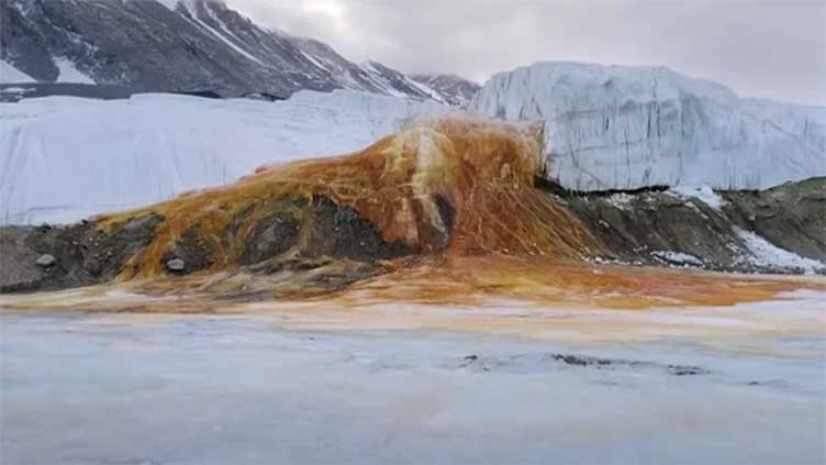 Scientists solve mystery of Antarctica's 'bleeding waterfalls'