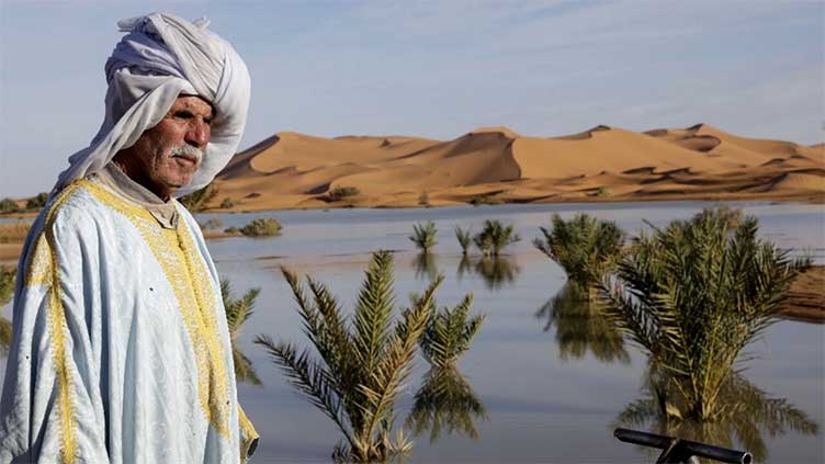 Rare Sahara floods bring Morocco's dried-up south back to life