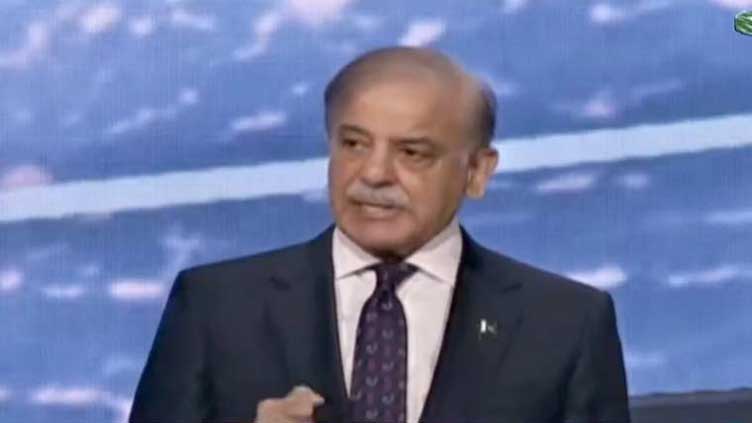 PM Shehbaz calls for global partnerships to tackle modern challenges