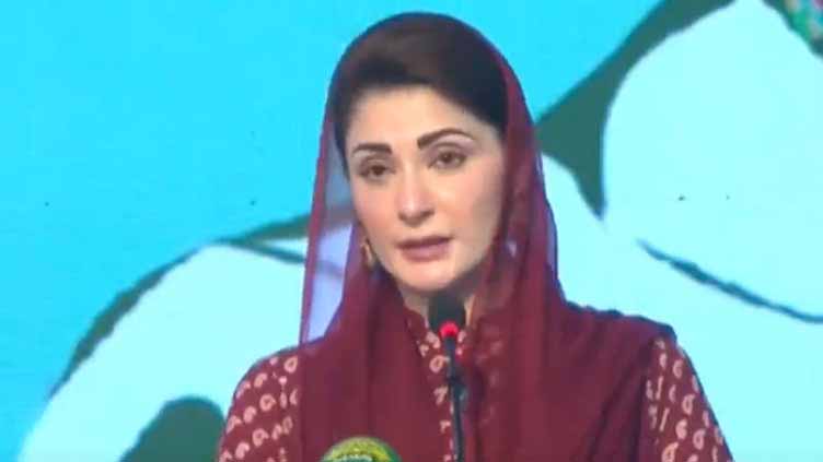 Opponents acknowledge PML-N's growing popularity: CM Maryam 