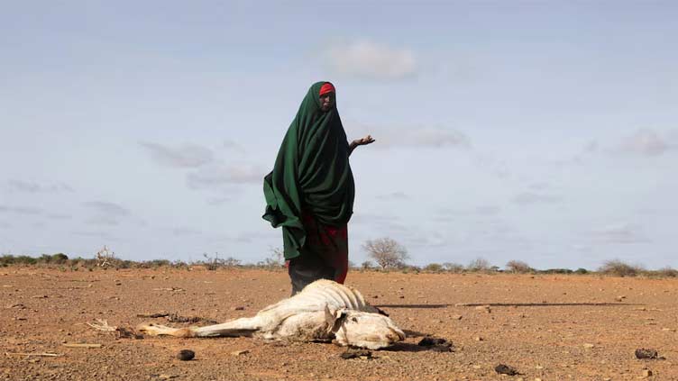 Africa faces steep costs as temperatures soar, says WMO