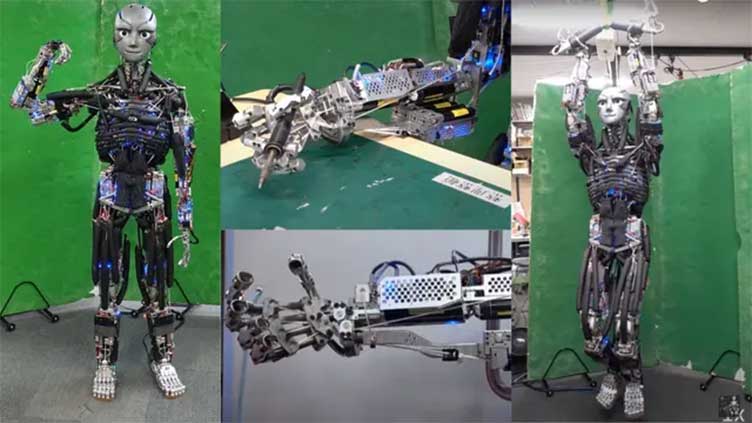 Game-changing mini-muscle motors power new robotic forearm like humans