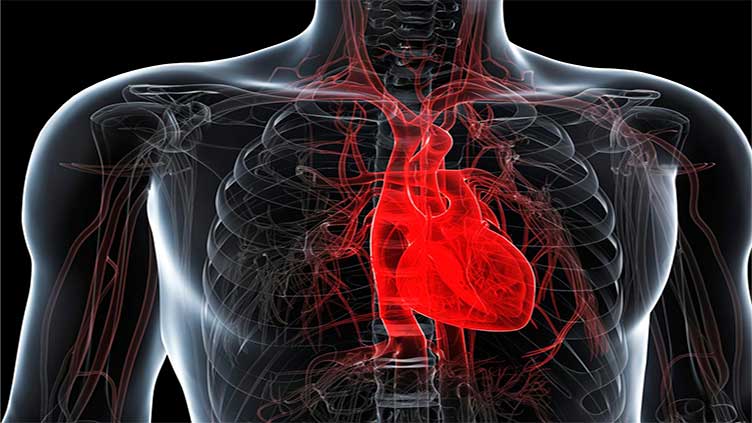 New hope on heart disease as science offers early detection, prevention