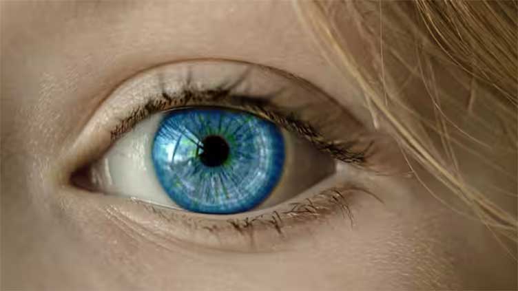 One European, who survived between 6,000 to 10,000 years ago, is ancestor of all blue-eyed people: Study