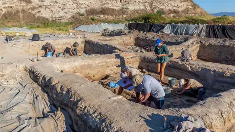 26,000-year-old human, animal footprints found at Spanish construction site