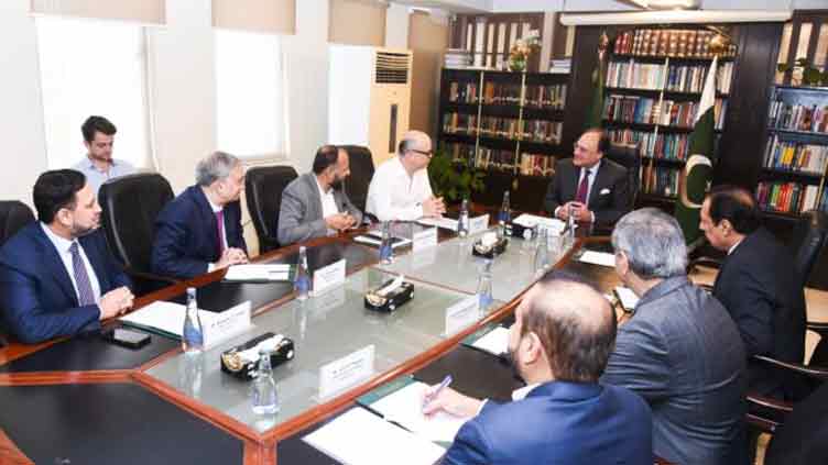 Finance minister reiterates resolve to restructure power sector