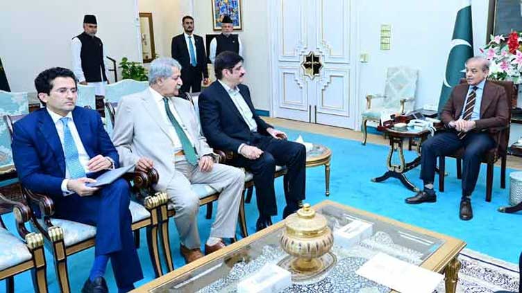 Sindh CM Murad Shah, PPP leader Naveed Qamar meet PM Shehbaz