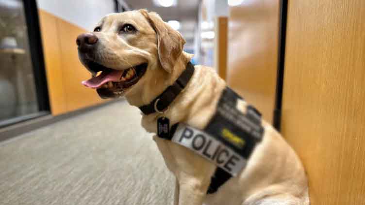 Last rites of police dog held with full state honours in India	