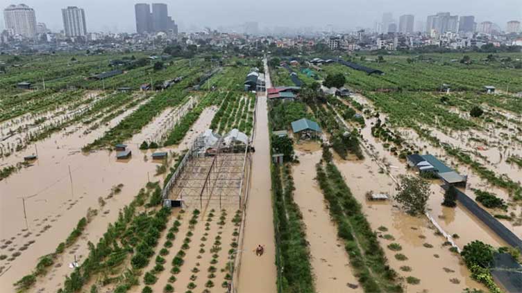 Vietnam puts typhoon losses at $1.6 billion