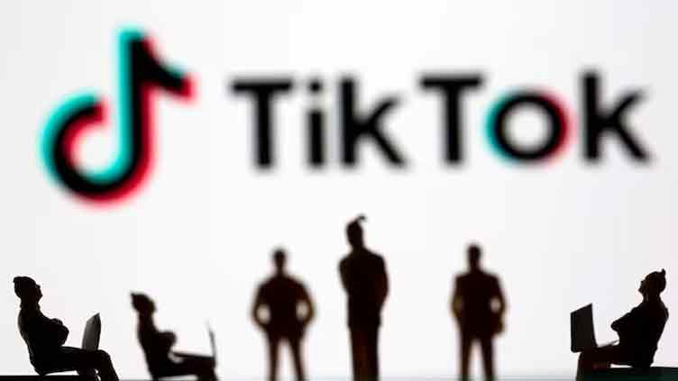 TikTok, Justice Department face off in court over potential US ban