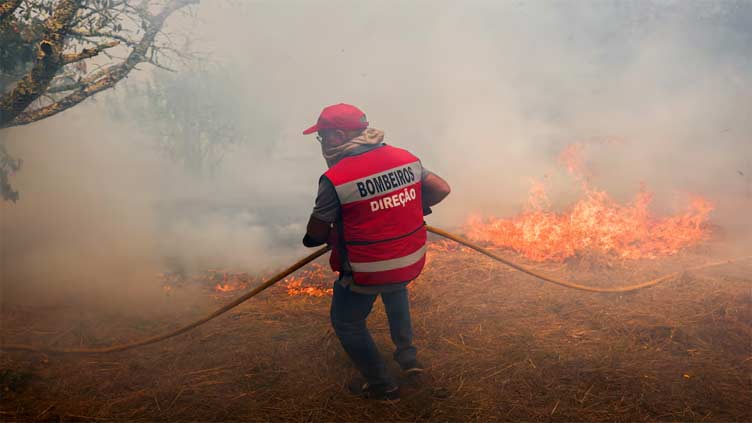 Portugal asks Europe for help as wildfires rage