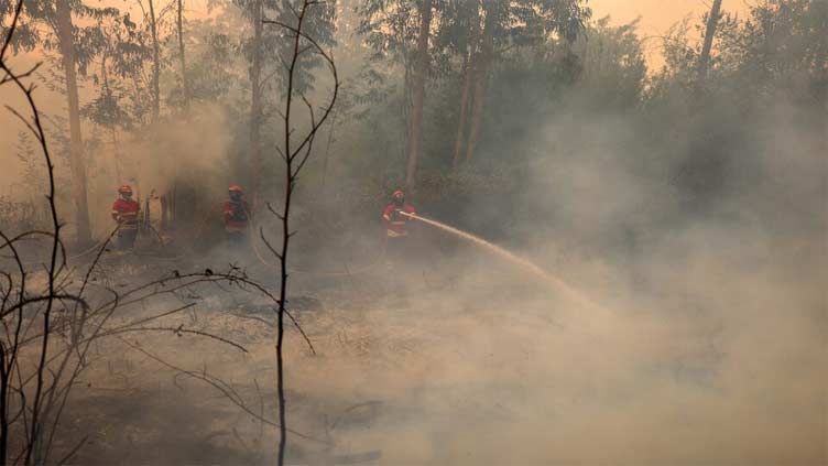 Beset by wildfires, Portugal gets help from Spain, Morocco