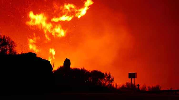 Wildfires: Portuguese police arrest 14 suspected arsonists