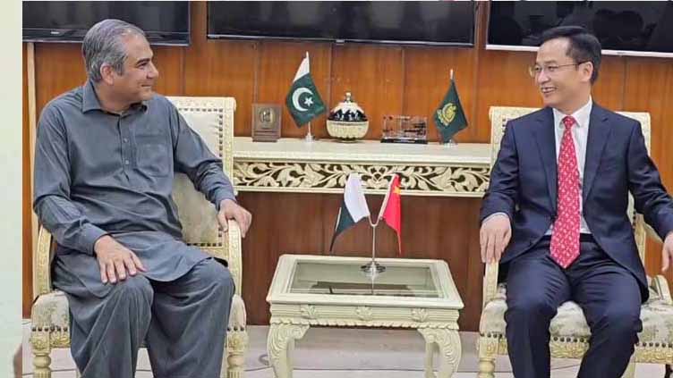 Chinese minister calls on Interior Minister Naqvi 