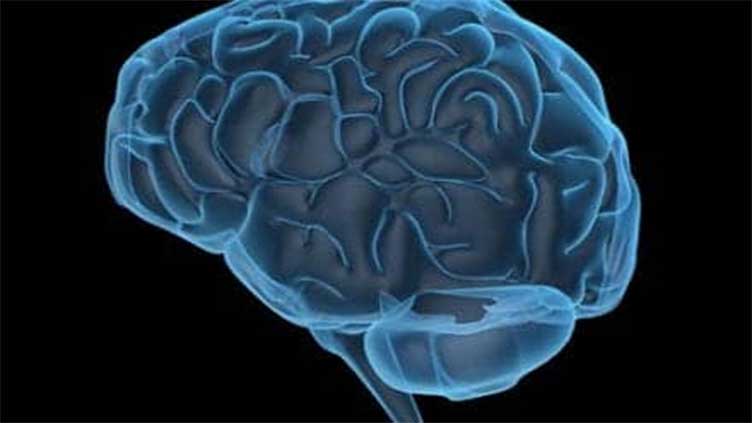 Damage to brain network linked with increased religious fundamentalism: Study