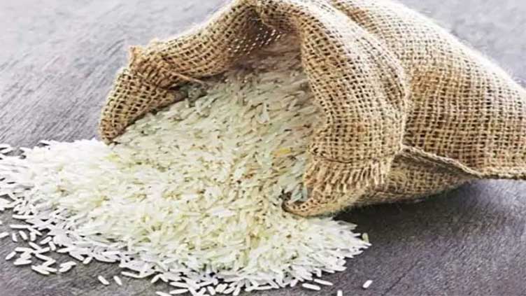 Pakistan sees food imports decrease by over 18pc, rice exports increase by 100pc