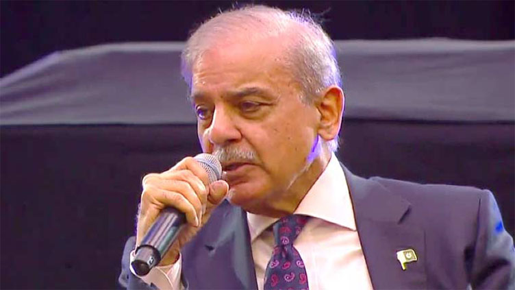 Pakistan faced terrorism in worst form after 9/11: PM Shehbaz