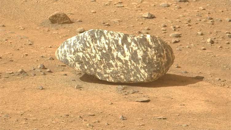 Nasa rover discovers mysterious 'zebra rock' on Mars