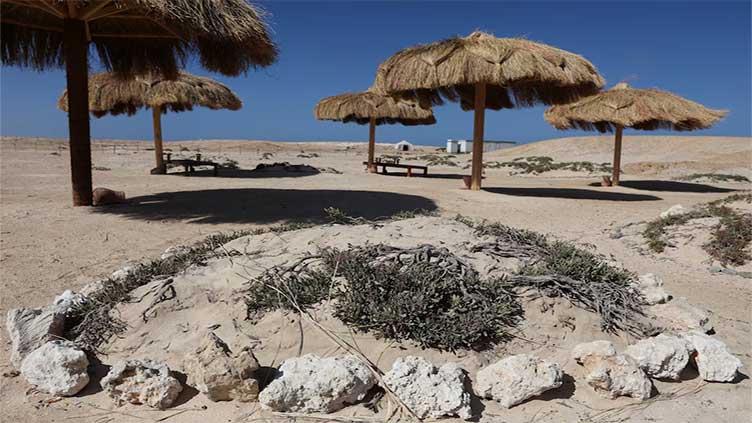 Egypt's tourism push puts pristine Red Sea beach at risk, say environmentalists