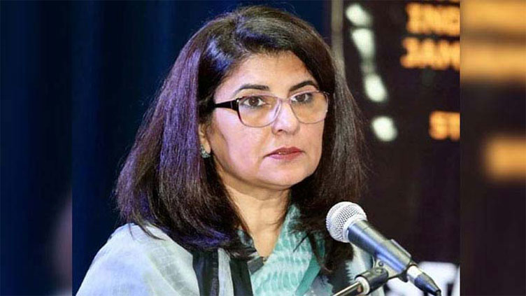 Pahalgam attack: Foreign Secretary shares outcomes of NSC meeting with diplomats