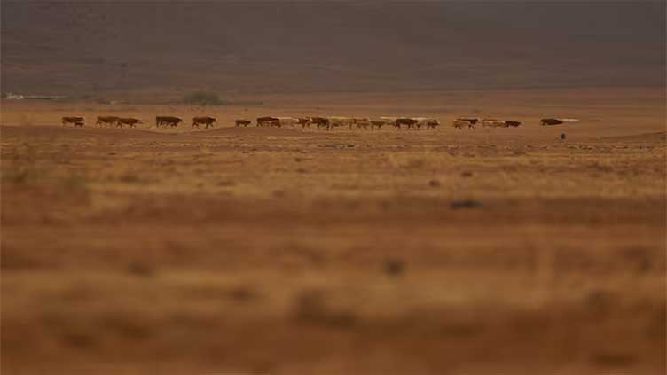Northern Mexico farmers fight drought amid water dispute with the US