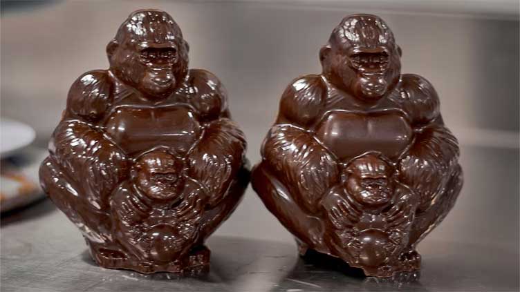 War-hit Congo park turns to chocolate gorillas in conservation push