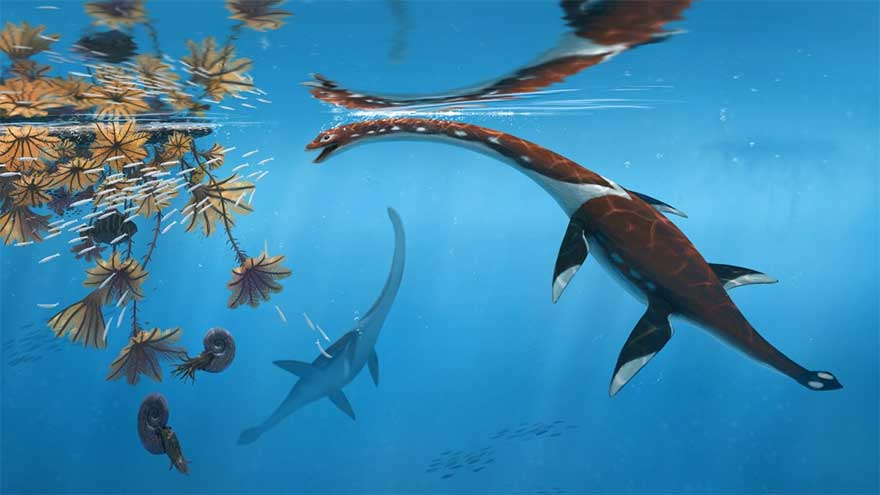 New ancient marine reptile species discovered in German fossil site