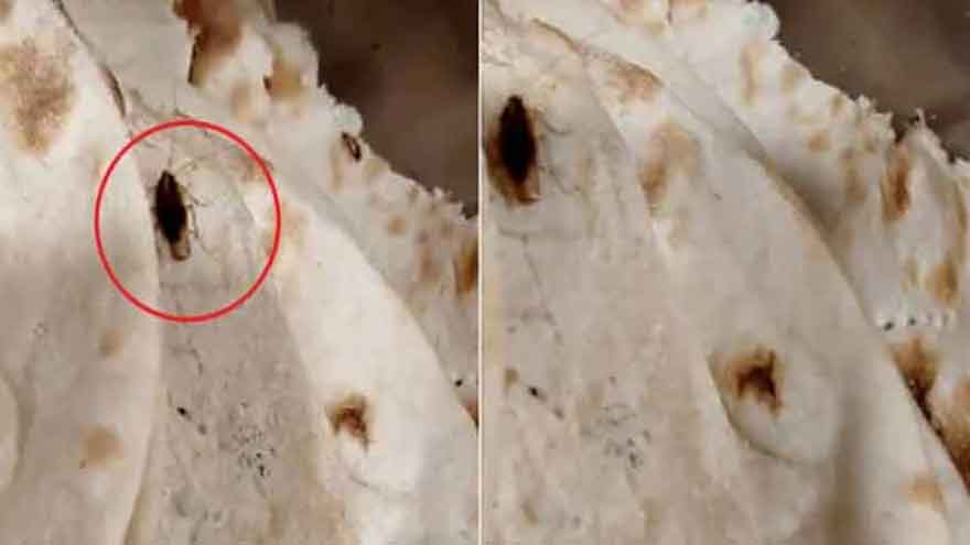 NA speaker cancels Parliament cafeteria contract after cockroach found in food