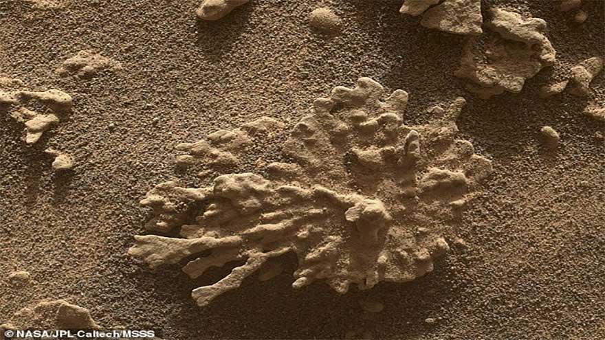 NASA Mars Discovery