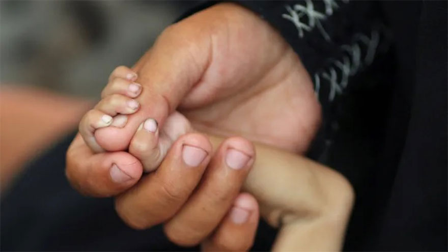 Famine kills nearly 200 in Gaza amid 'apocalyptic' battle for survival