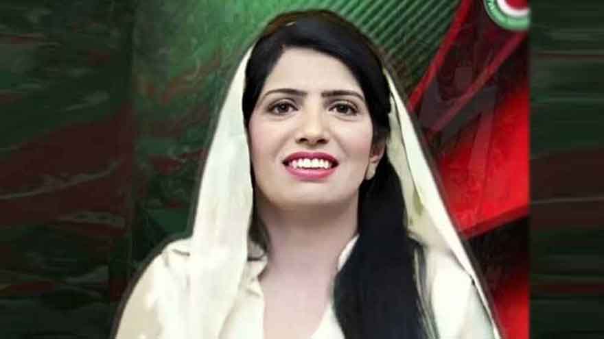 Punjab govt submits details of cases against Aliya Hamza 