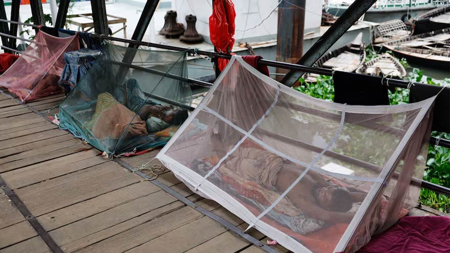 Bangladesh dengue deaths top 100, August could be worse