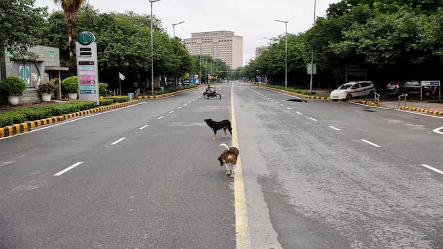 India's top court orders Delhi authorities to move stray dogs to shelters