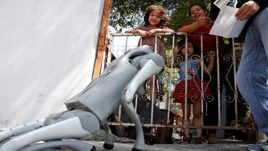 Robot dog in Mexico teaches animal kindness on the streets