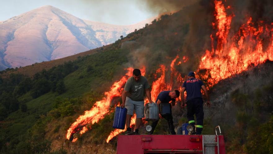 'Cooked alive': Europe's wildfires hit tourism spots and forests