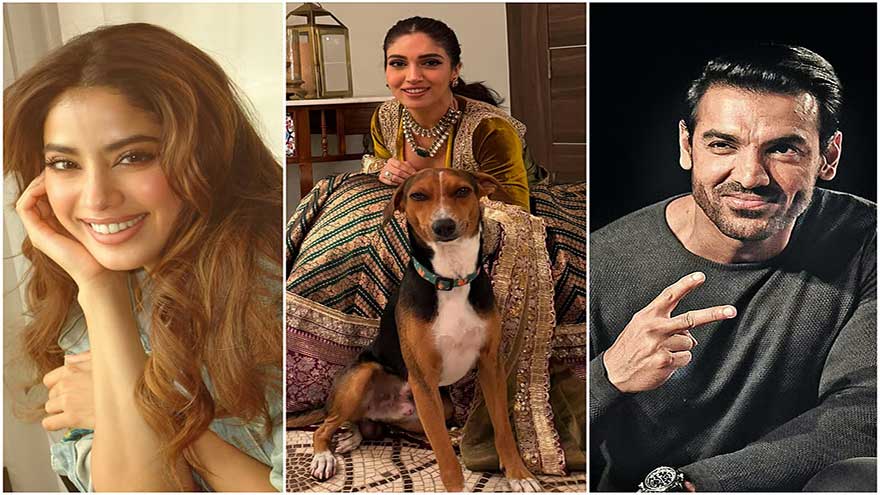 Bollywood stars resent top court order on stray dogs