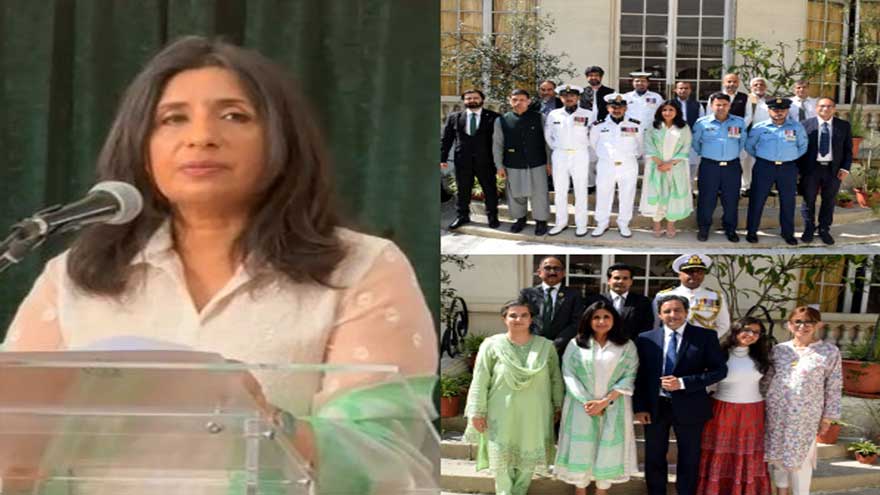 Paris glows green and white: Pakistan's 78th Independence Day celebrated in France