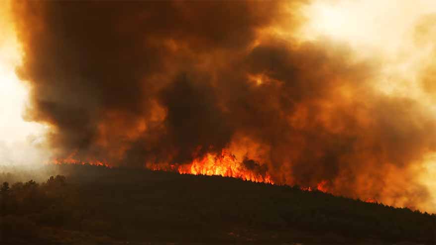 Spain battles 14 major fires with more expected