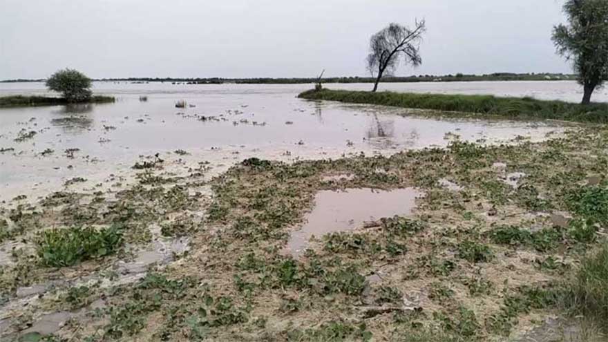 Sutlej River bursts its banks as India releases water