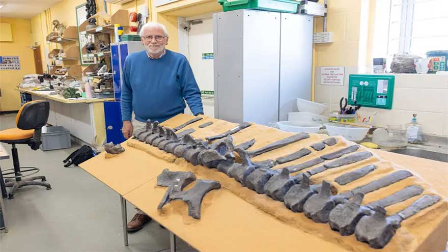 New 125m year-old dinosaur species discovered with unusual feature