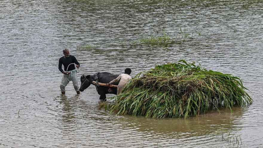 Over 200,000 evacuated as Indian water release triggers floods in Pakistan
