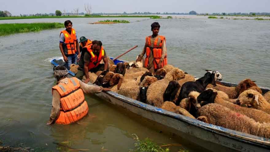 Over 200,000 evacuated as Indian water release triggers floods in Pakistan