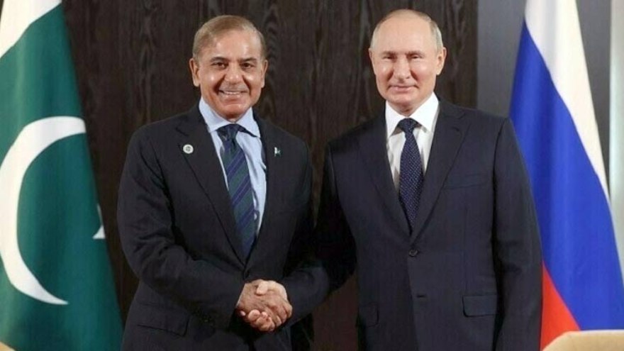 PM Shehbaz to meet Putin, Xi and Erdogan during SCO summit in China