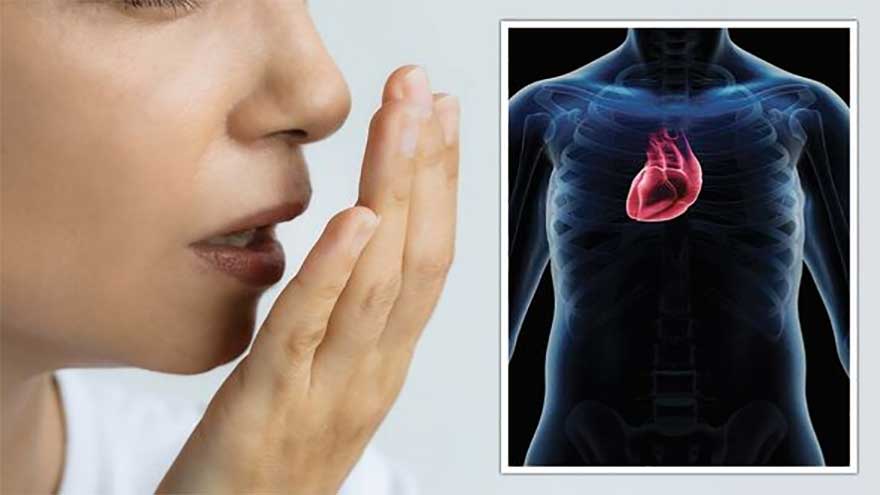 Study claims germs in mouth play key role in heart attacks