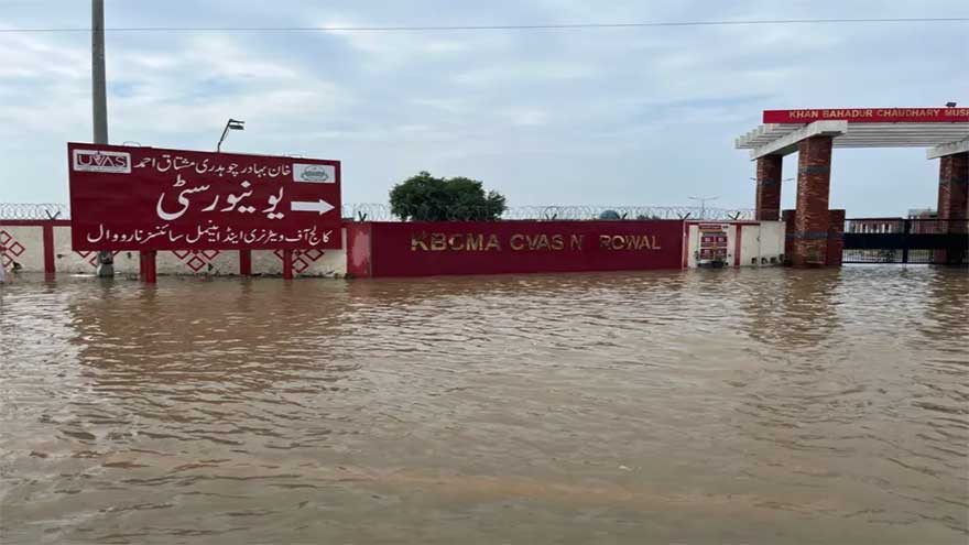 PM Shehbaz urges construction of new dams as Punjab grapples with severe floods