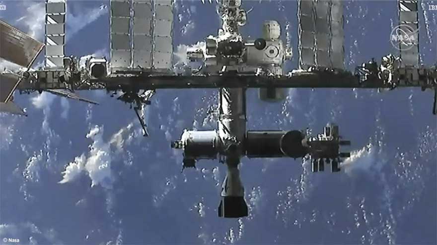 Why the egusi? A Nigerian melon seed's journey into space