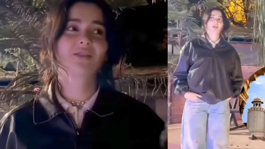 Hania Aamir goes viral after speaking Urdu in Lahori Punjabi style