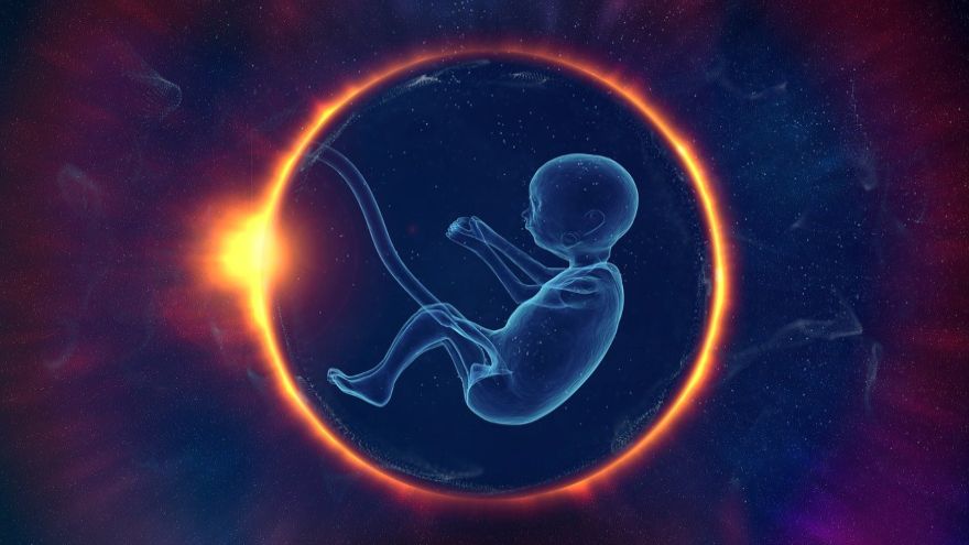 Pakistani scientist urges UN to tackle rising global threat of fetal teratogens